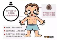 疱疹病毒怎么传染 水痘传染性强吗