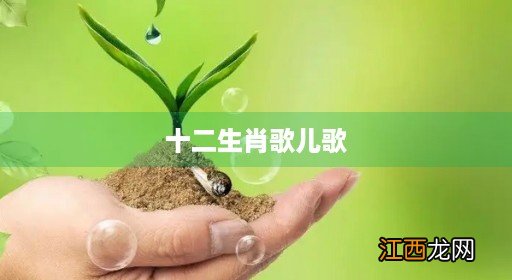 十二生肖歌儿歌简谱 十二生肖歌儿歌