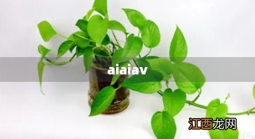 aiaiav