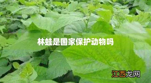 林蛙是国家一级保护动物 林蛙是国家保护动物吗