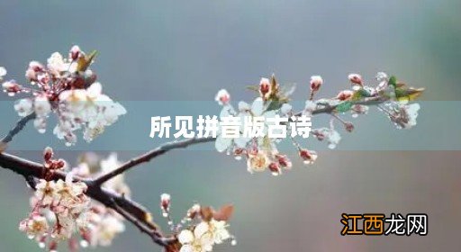 所见拼音版古诗