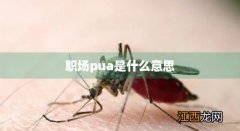 职场pua是什么意思阿 职场pua是什么意思