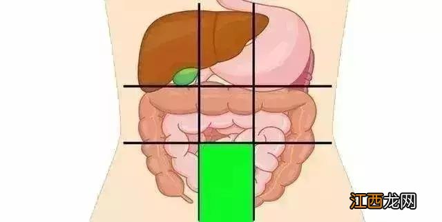 胰腺在腹部的位置 胰腺在腹中的位置图