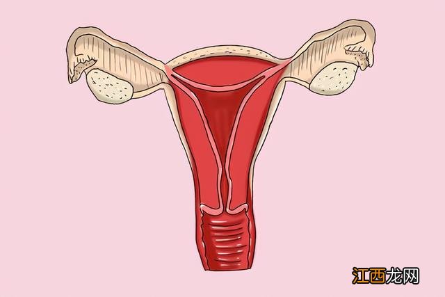 宫腔内膜正常厚度多少厘米 宫腔内膜正常厚度