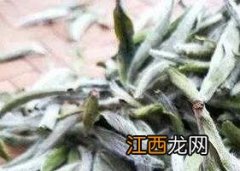 福鼎白茶的功效与作用 福鼎白茶的功效与作用一年茶三年药