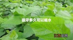 拔牙多长时间可以吃东西 拔牙多久可以喝水