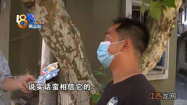 人工流产视频