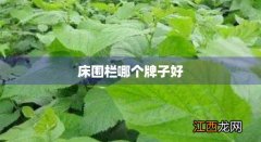 床围栏安装 床围栏哪个牌子好