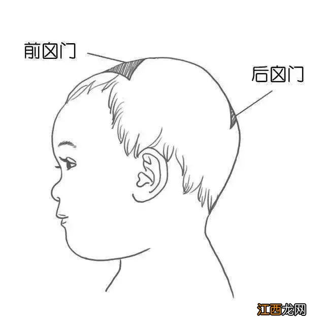 囟门在哪里 囟门在哪