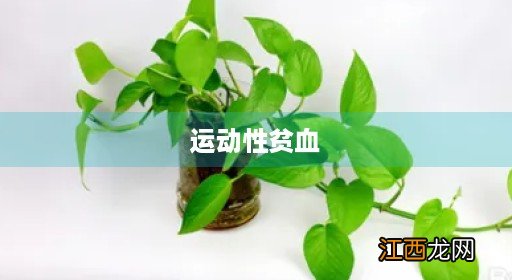 女运动员更容易患运动性贫血 运动性贫血