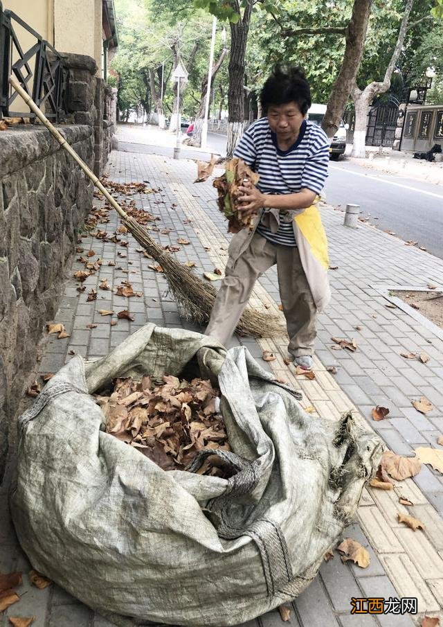 落叶纷纷还是飘飘 落叶纷纷