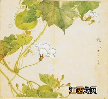 圆形的东西有哪些? 圆形的东西