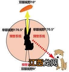 接吻会闻到口臭吗 接吻为什么要闭眼