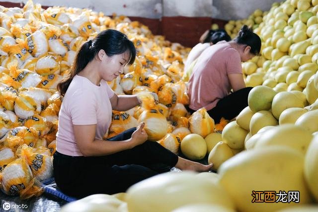 经常吃橘子有什么好处和坏处 橘子的营养成分