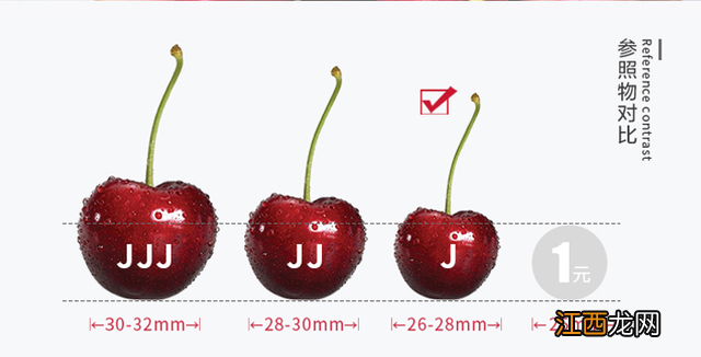 草莓是什么季节的水果 车厘子是什么季节的水果
