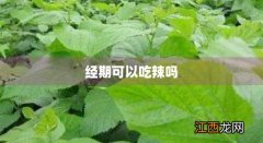 吃辣条会导致月经推迟吗 经期可以吃辣吗