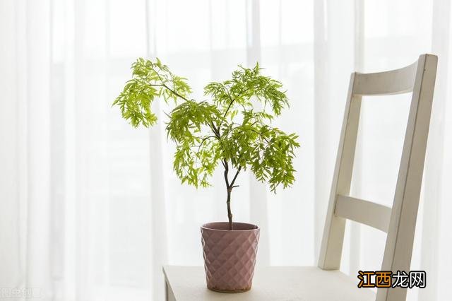 成长的第一步是什么英文 成长的第一步