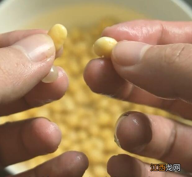 黄豆怎么泡才快打豆浆 黄豆怎么泡才快