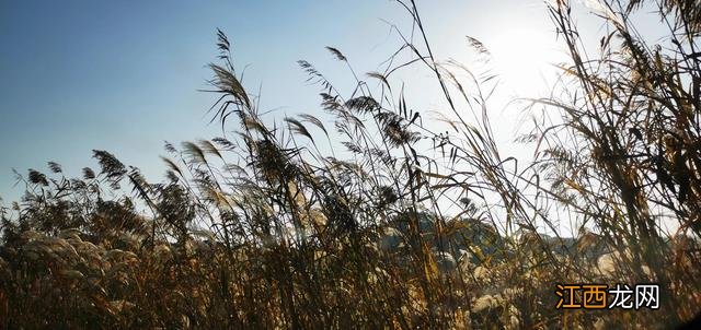 念奴桥过洞庭湖 过洞庭湖
