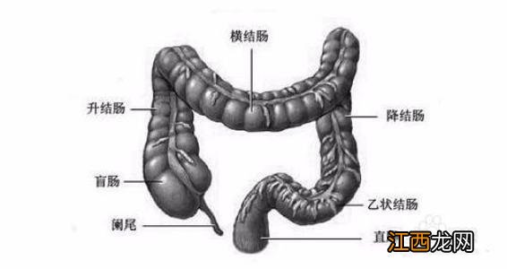 阑尾炎挂哪个科就诊 阑尾炎挂哪个科