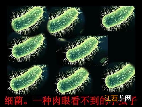 阑尾炎挂哪个科就诊 阑尾炎挂哪个科