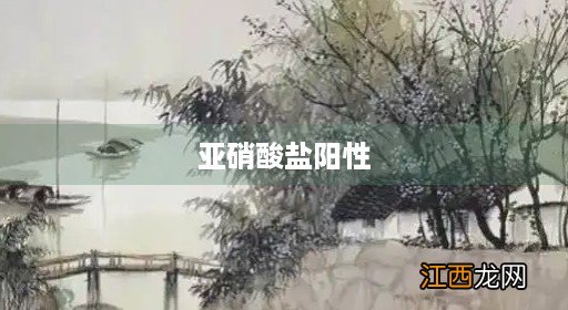 亚硝酸盐阳性2+什么意思 亚硝酸盐阳性