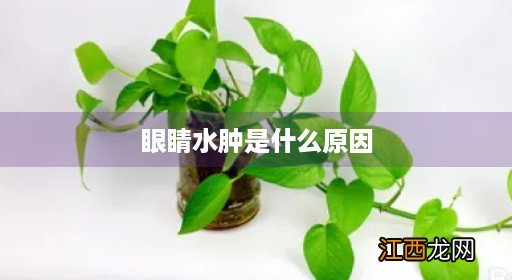 眼睛水肿是什么原因引起的 眼睛水肿是什么原因