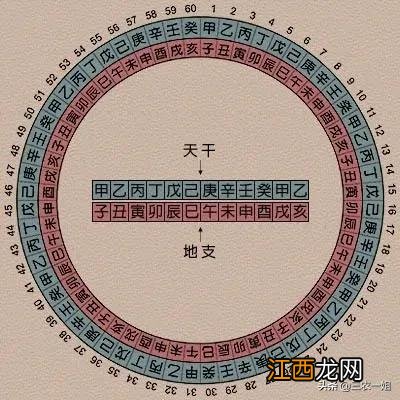 2022年属啥生肖 2022属相