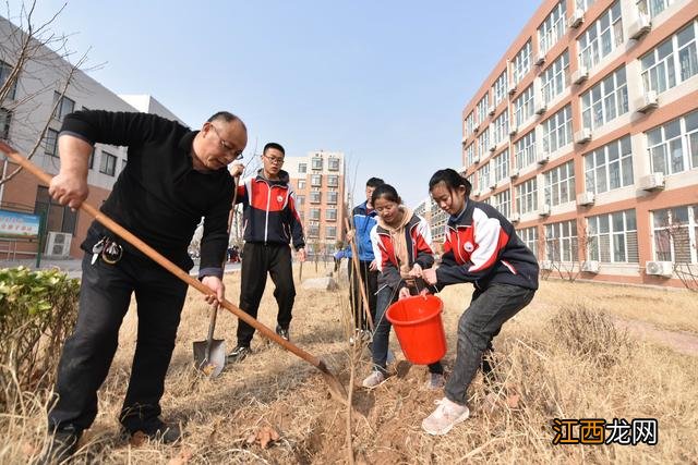 二年级植树看图写话 栽树图片