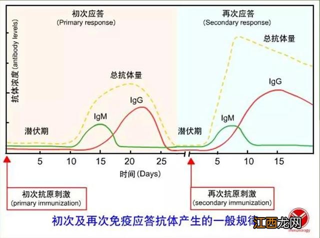 igg和igm怎么测 igg和igm