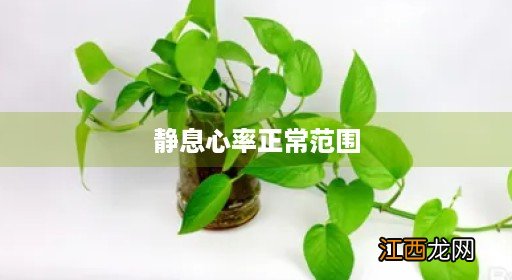 静息心率正常范围是多少 静息心率正常范围