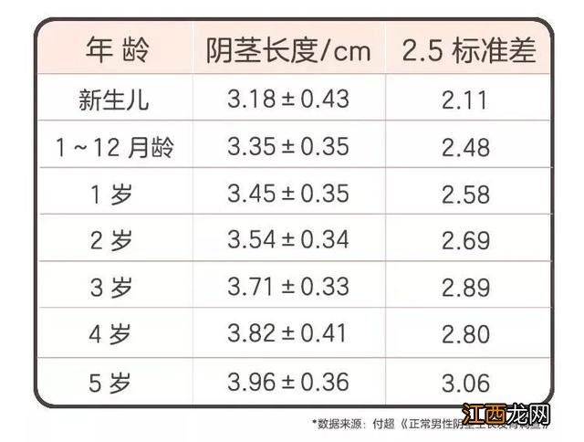 男生的鸡鸡图片