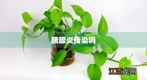 胰腺炎传染吗 怎么传染 胰腺炎传染吗