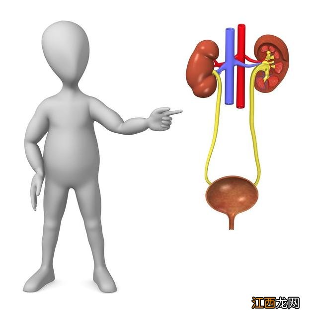 三金片说明书改了 三金片说明书