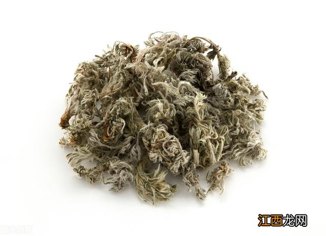 茵陈三种人不能吃 茵陈是什么植物