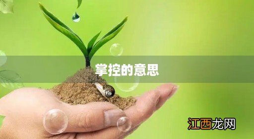 掌控意思是 掌控的意思