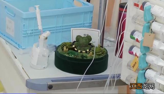 纪录片人世间观后感五百字 纪录片人世间