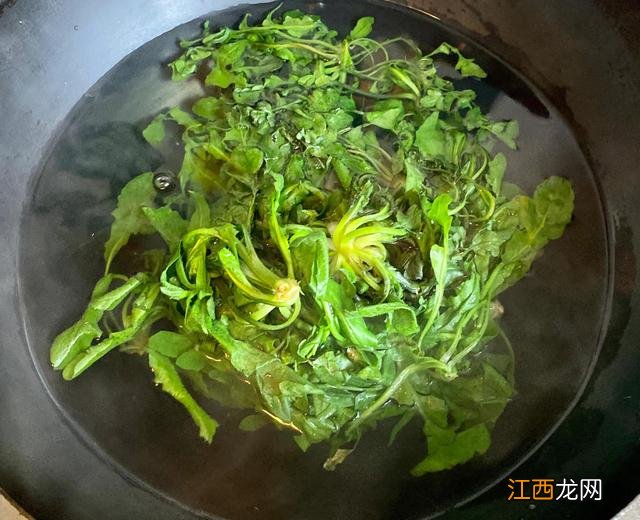 蔬菜饺子馅的种类大全 蔬菜饺子