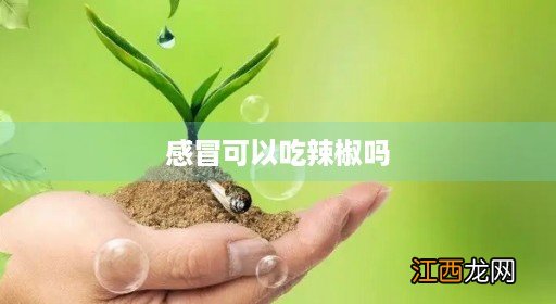 发烧感冒可以吃辣椒吗 感冒可以吃辣椒吗