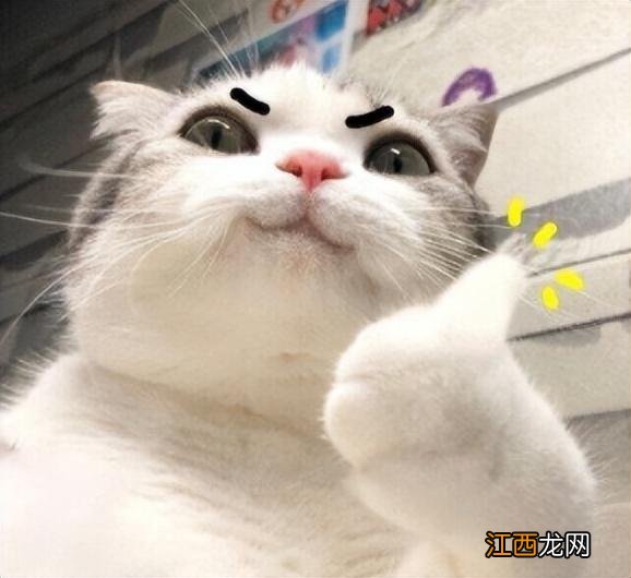 甲亢啥不能吃 甲亢什么不能吃