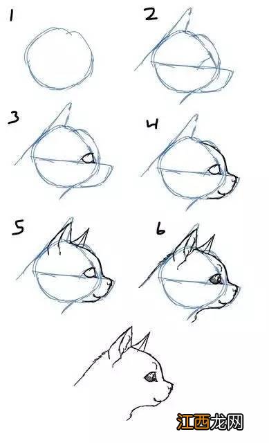怎样画猫 猫咪怎么画简笔画