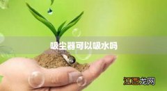 工业吸尘器可以吸水吗 吸尘器可以吸水吗