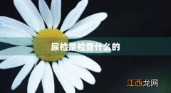 尿检主要是检查什么 尿检是检查什么的