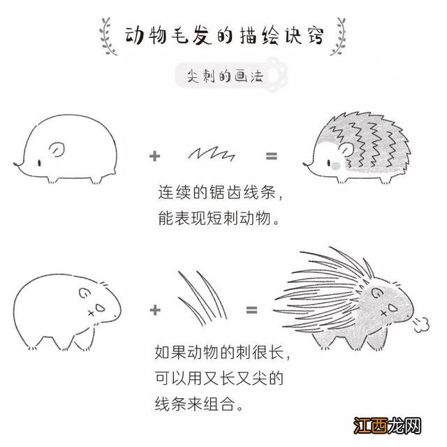 仓鼠的简笔画可爱 仓鼠的简笔画