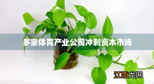 体育产业资本是什么 多家体育产业公司冲刺资本市场