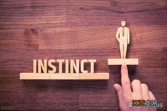 零的英文单词怎么写 零的英文单词