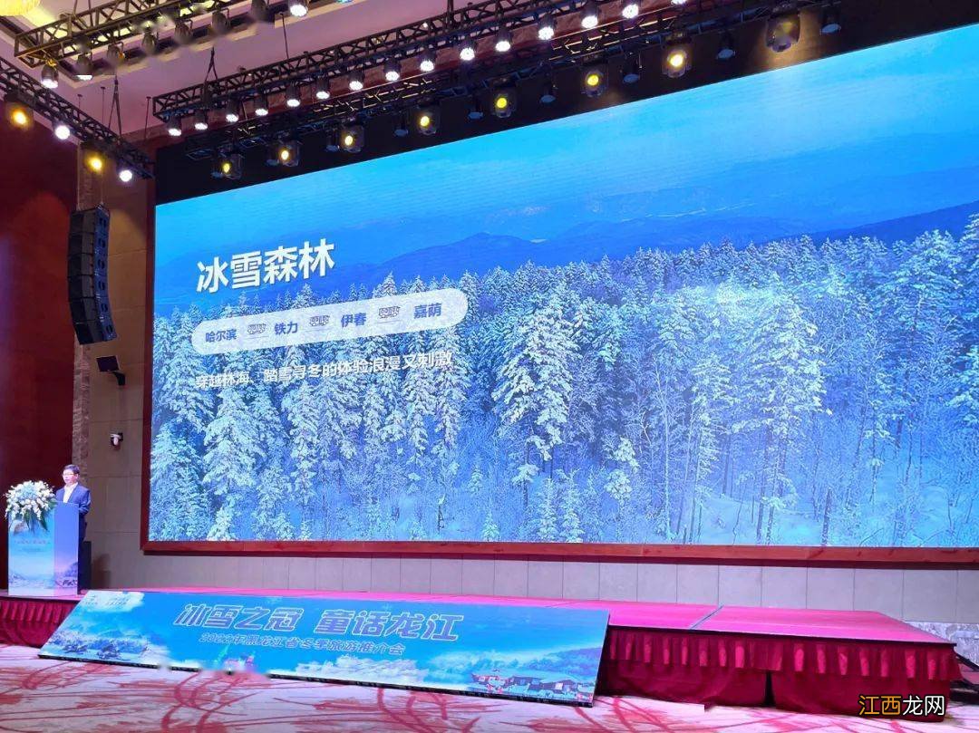 【森态冰雪 童话伊春】伊春“诚至”南宁,讲述冰雪森林的故事