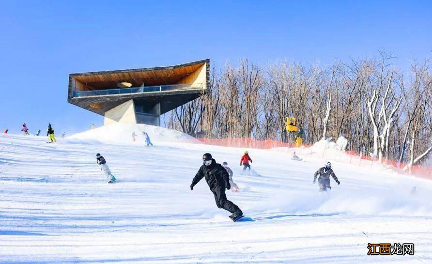 温情在冰雪中绽放 动起来，让冰雪更多精彩