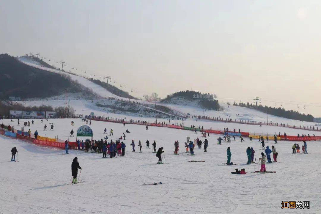 温情在冰雪中绽放 动起来，让冰雪更多精彩