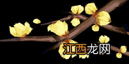 冬至这一天应该怎样养生 今日冬至!5条养生小贴士请查收……